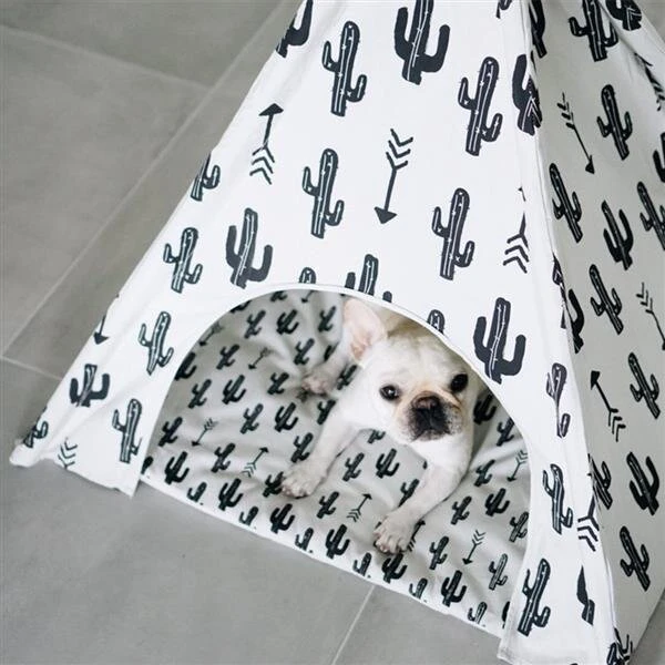 Kaktus Tipi Für Hunde 3 Kaktus Tipi Für Hunde